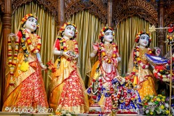 Daily Darshan