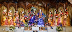 Daily Darshan