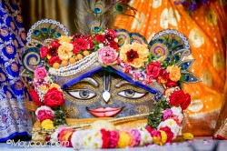 Daily Darshan
