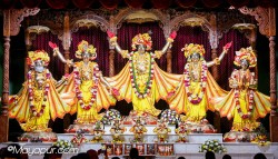 Daily Darshan