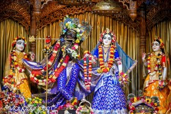 Daily Darshan