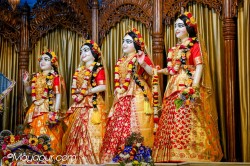 Daily Darshan