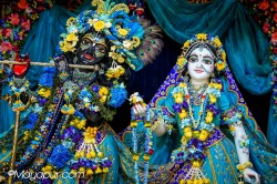 Daily Darshan