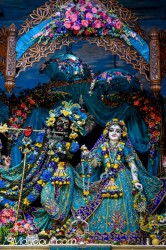 Daily Darshan