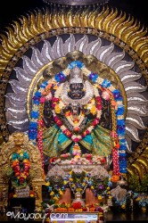 Daily Darshan