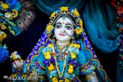Daily Darshan