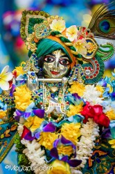 Daily Darshan