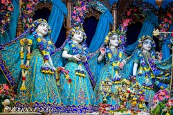 Daily Darshan