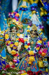 Daily Darshan