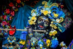 Daily Darshan