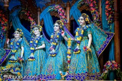 Daily Darshan