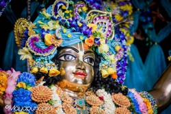 Daily Darshan