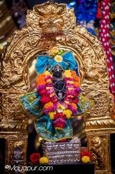 Daily Darshan