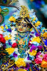 Daily Darshan