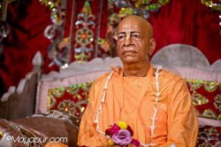 Daily Darshan