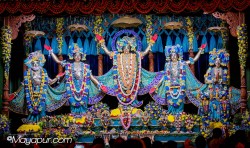 Daily Darshan