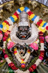 Daily Darshan