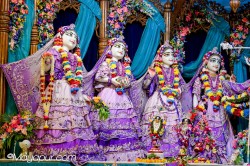 Daily Darshan