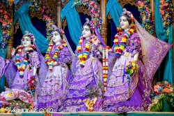 Daily Darshan