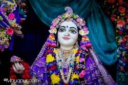Daily Darshan
