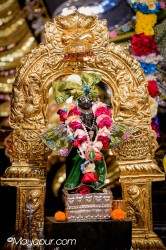 Daily Darshan