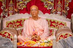 Daily Darshan
