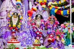 Daily Darshan