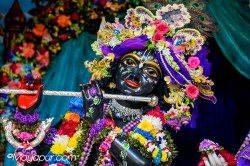 Daily Darshan