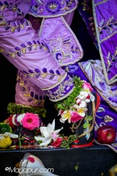 Daily Darshan