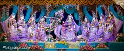 Daily Darshan