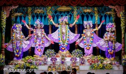 Daily Darshan