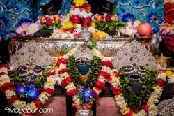 Daily Darshan