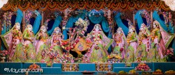 Daily Darshan