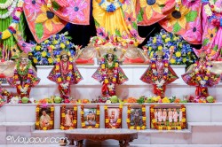 Daily Darshan
