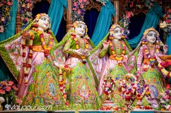 Daily Darshan