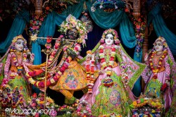 Daily Darshan