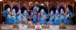 Daily Darshan