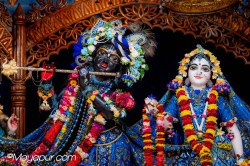 Daily Darshan