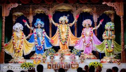 Daily Darshan