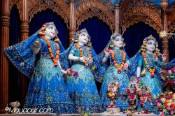 Daily Darshan