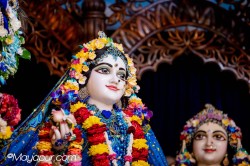 Daily Darshan