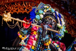 Daily Darshan