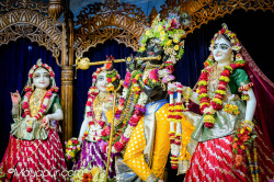 Daily Darshan