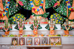 Daily Darshan