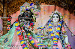 Daily Darshan