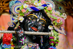 Daily Darshan