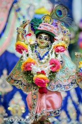 Daily Darshan
