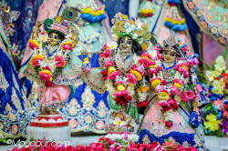 Daily Darshan