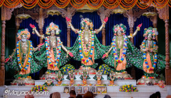 Daily Darshan