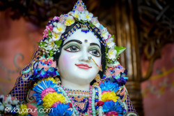 Daily Darshan